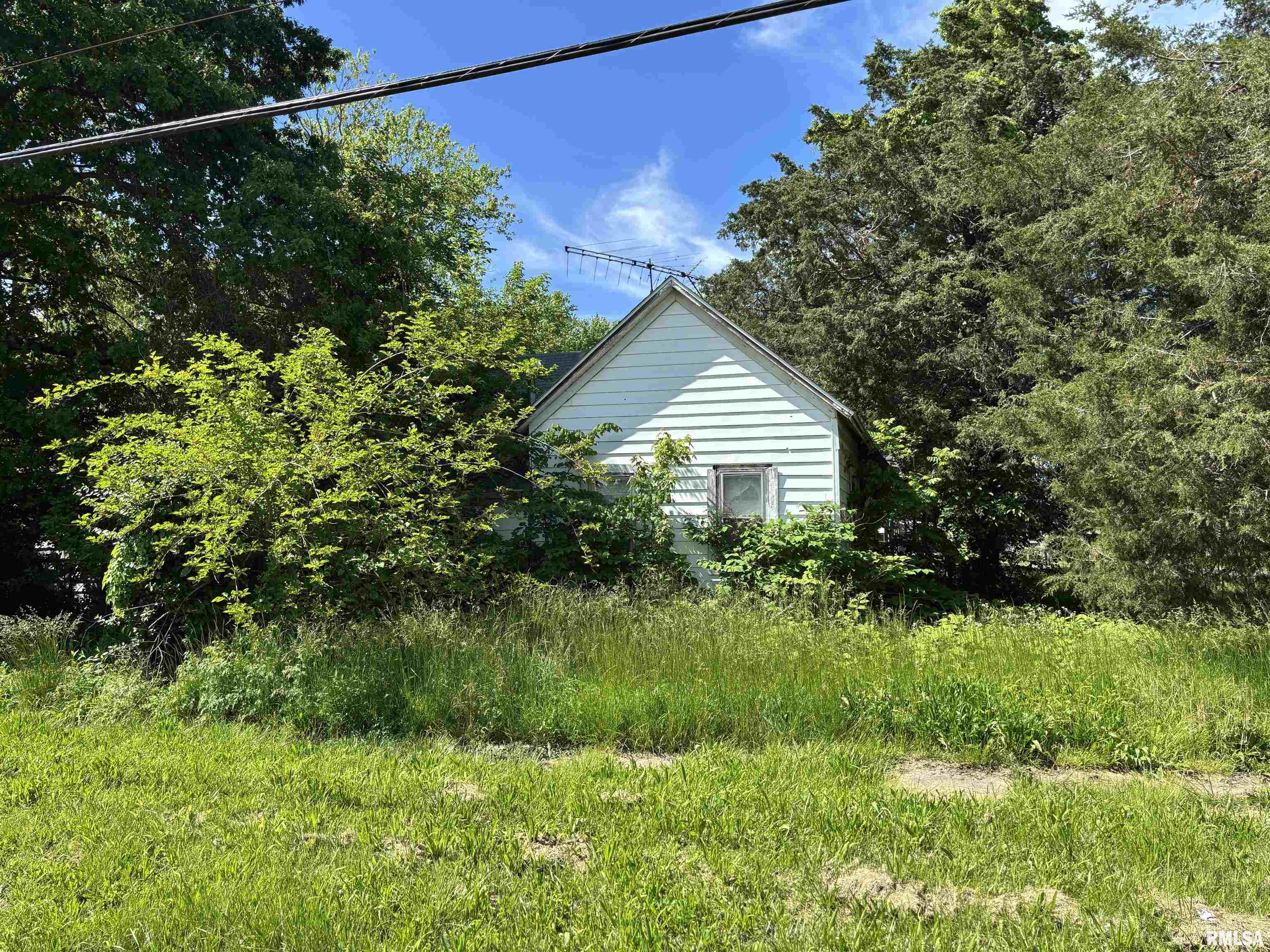 301 N 5th Street, Elkville, Illinois image 7