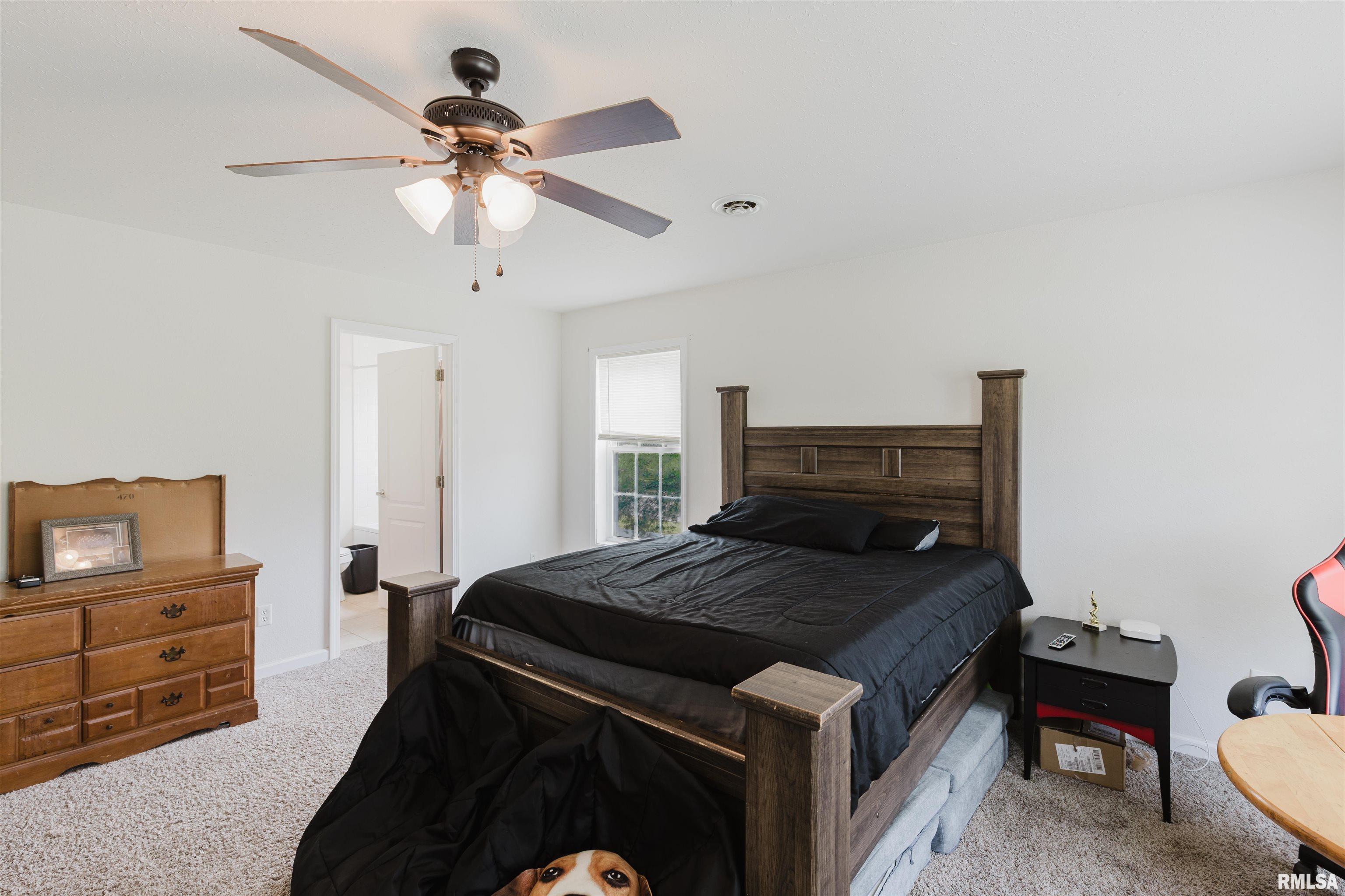 704 Legacy Drive, Herrin, Illinois image 23