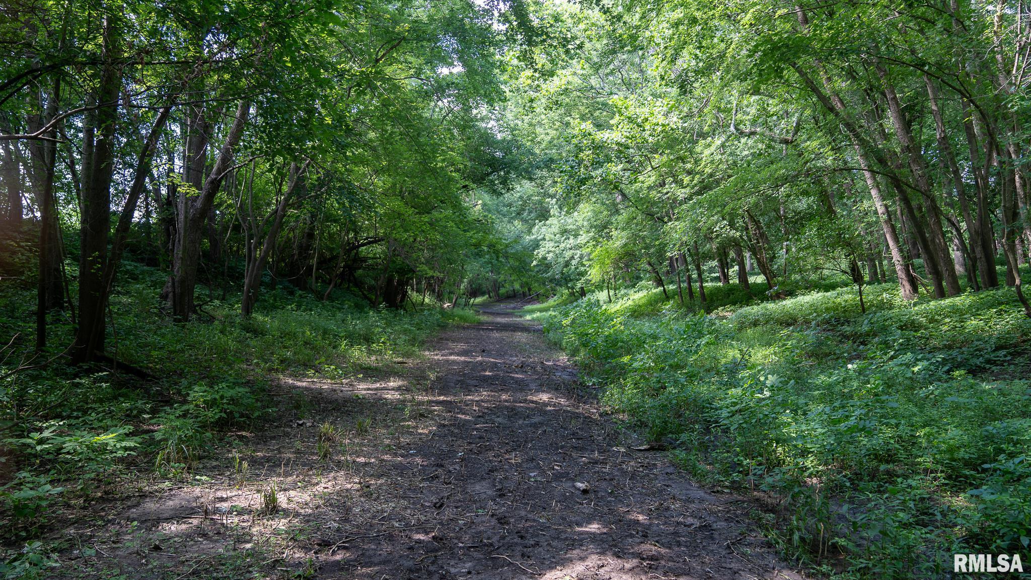 001 Gudgel Road, Petersburg, Illinois image 16