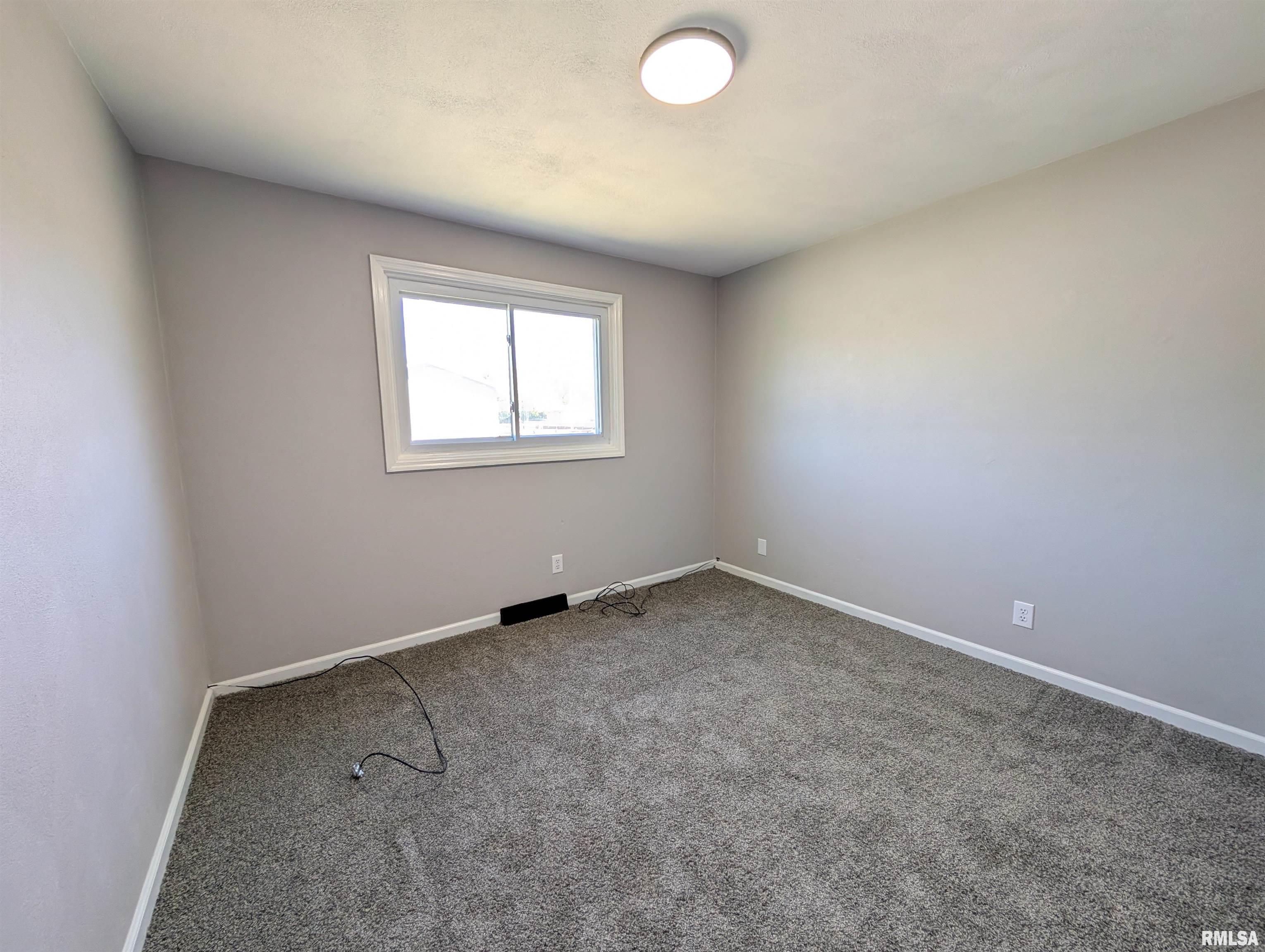 3638 W Cassadaga Court, Peoria, Illinois image 21