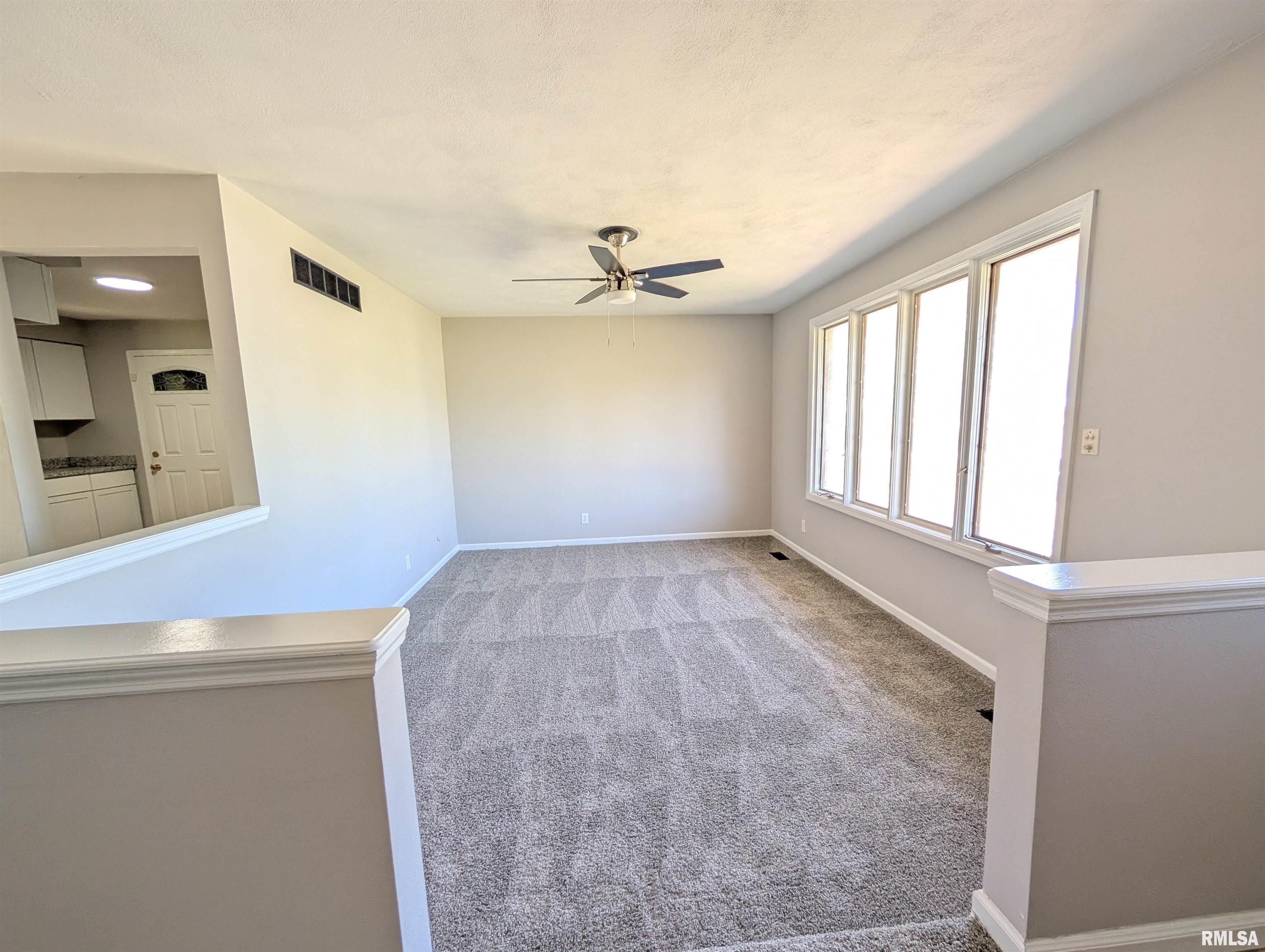 3638 W Cassadaga Court, Peoria, Illinois image 5