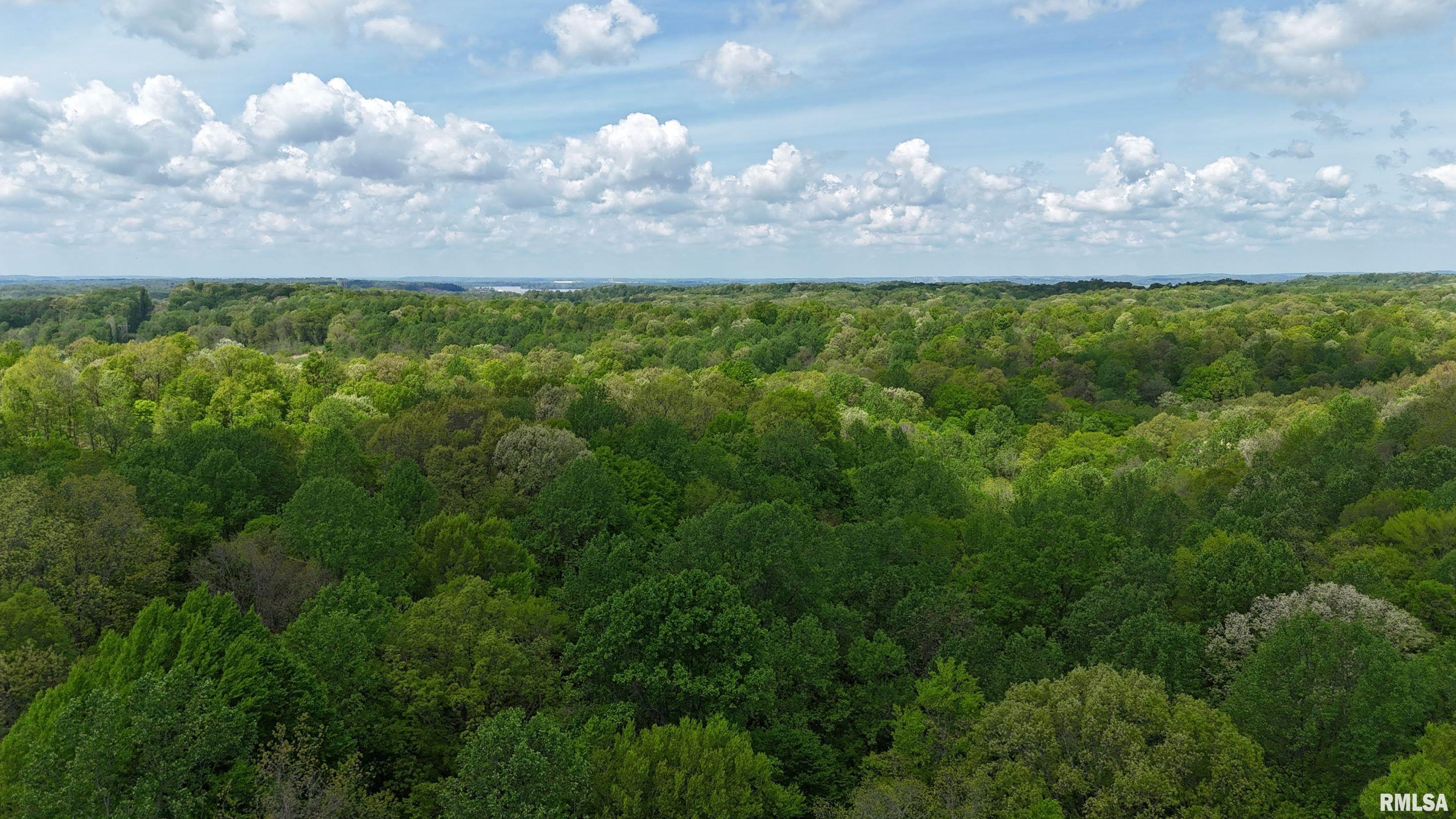 000 Bean Ridge Road, Thebes, Illinois image 24