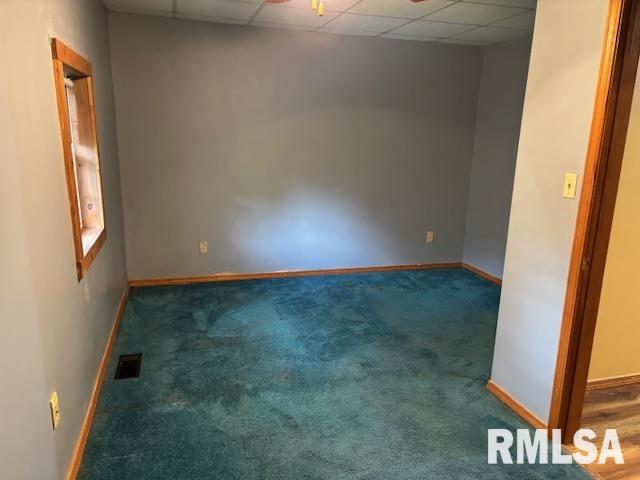 505 E Elm Street, Carlinville, Illinois image 18