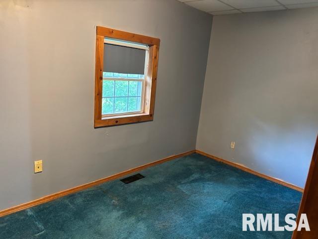 505 E Elm Street, Carlinville, Illinois image 17