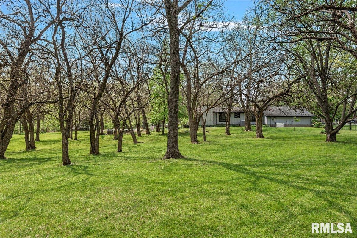 454 Brian Lane, Dawson, Illinois image 47