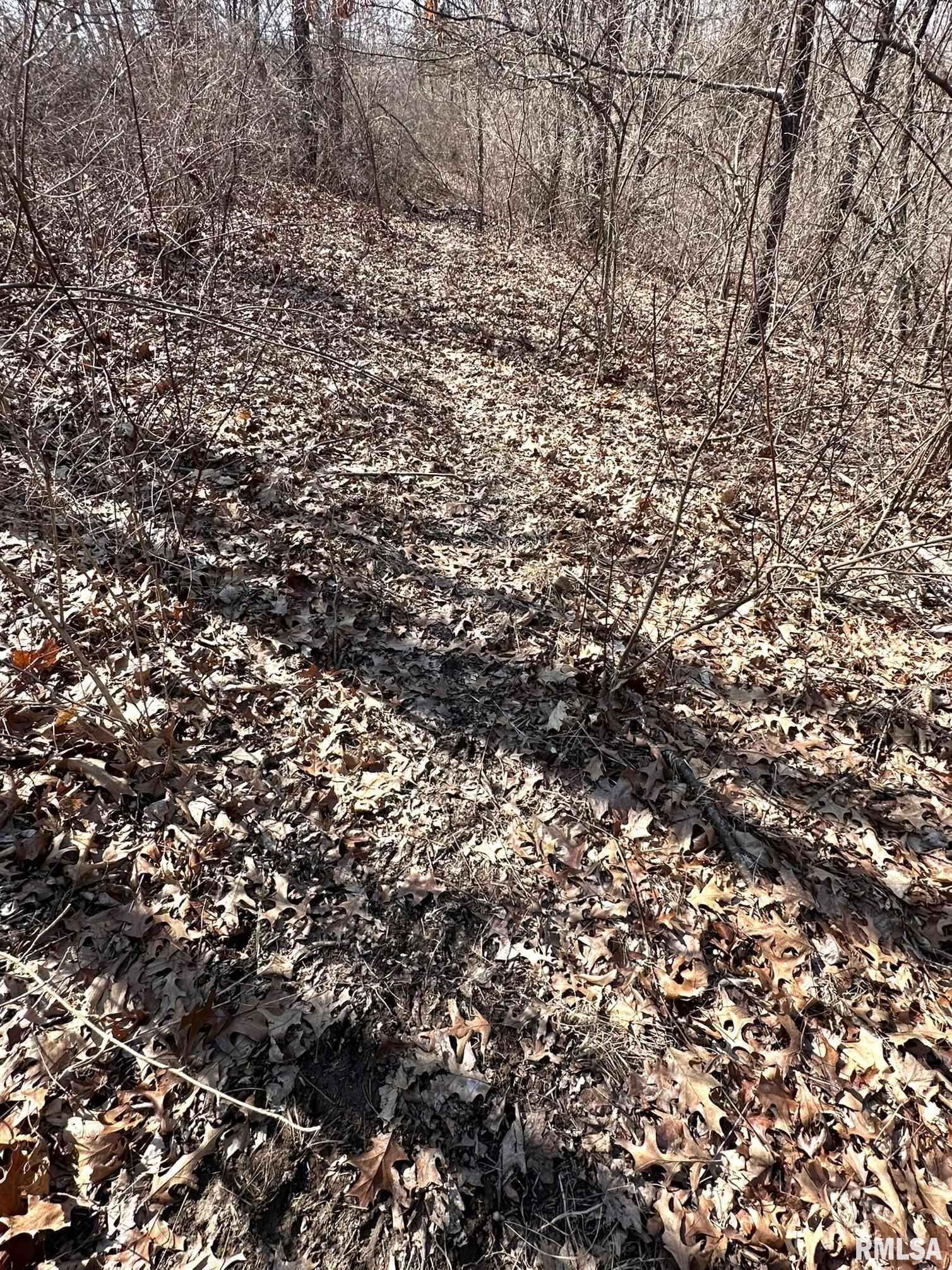 Lot 2 & 3 Fleisher Road, Galesburg, Illinois image 8