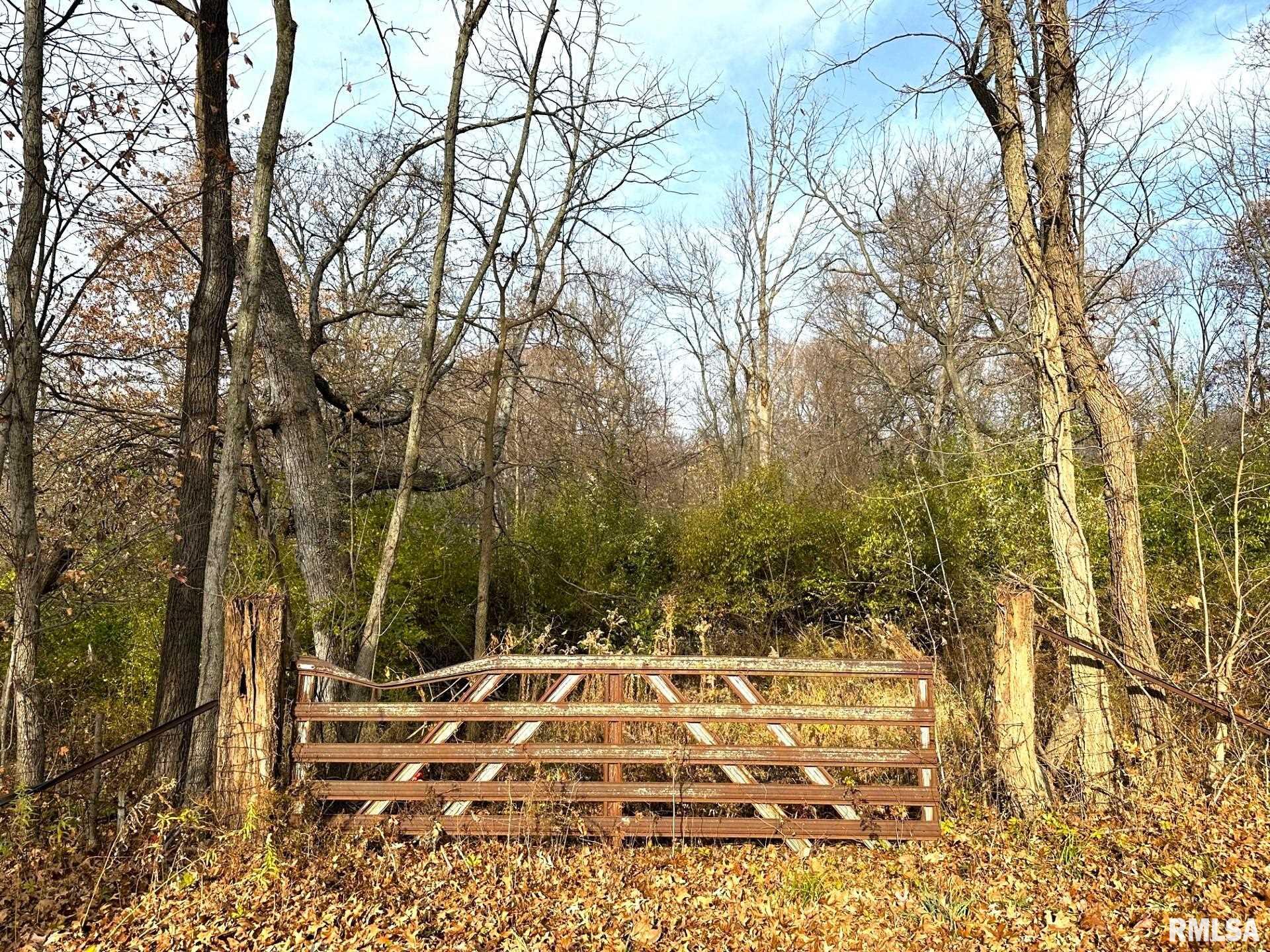 Lot 2 & 3 Fleisher Road, Galesburg, Illinois image 1