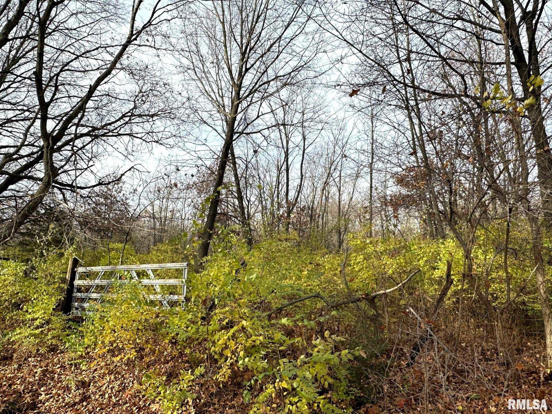 Lot 2 & 3 Fleisher Road, Galesburg, Illinois image 2