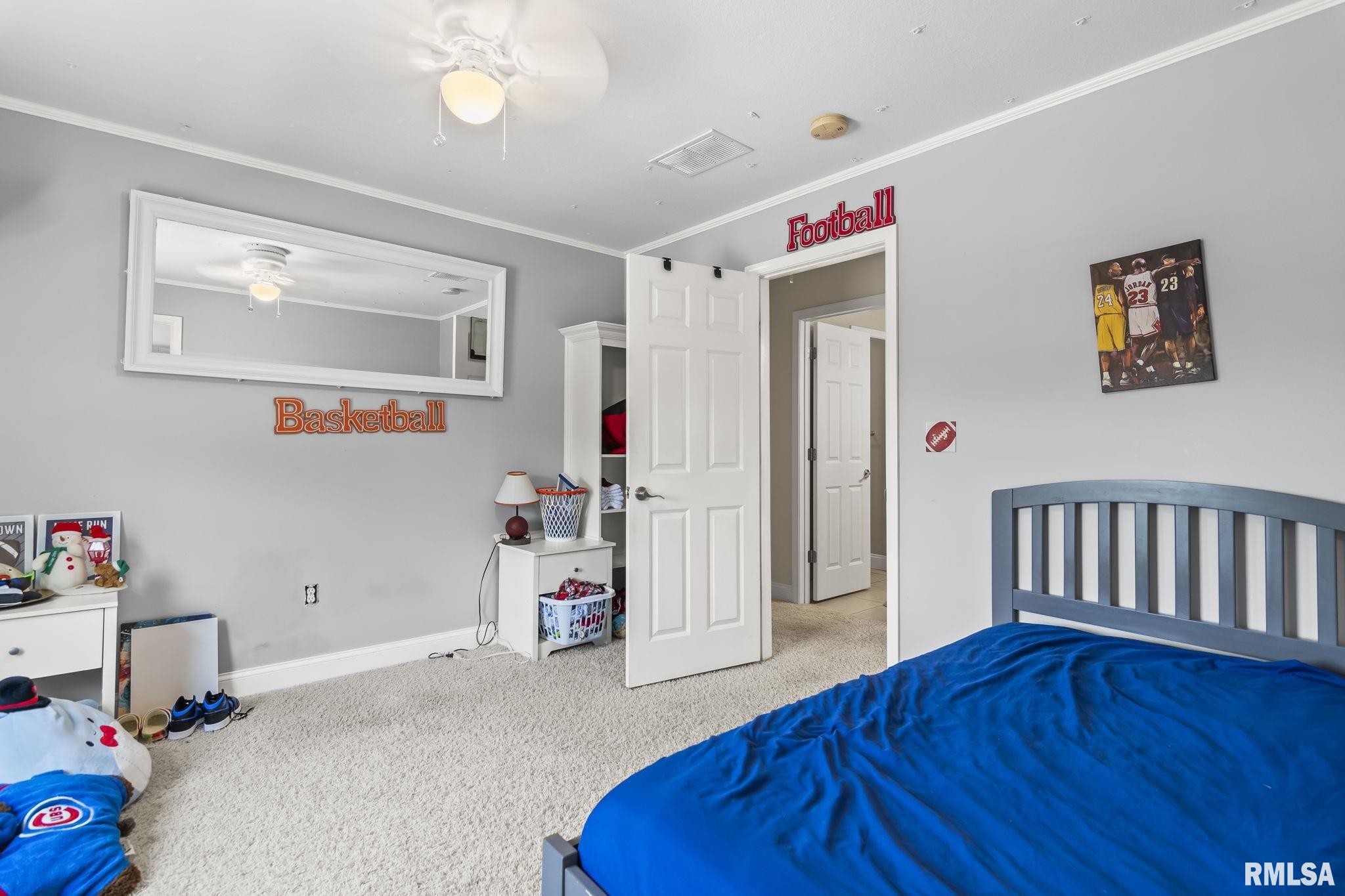 424 Heathrow Lane, Rochester, Illinois image 29