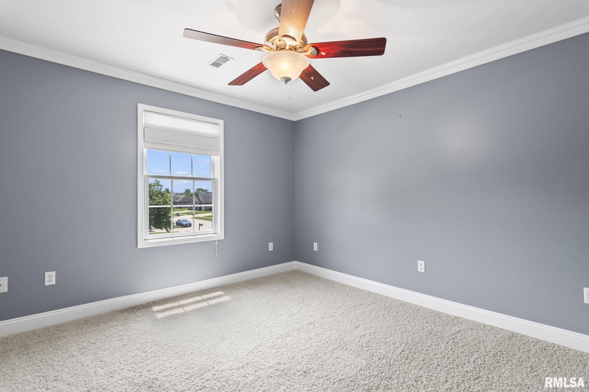 424 Heathrow Lane, Rochester, Illinois image 26