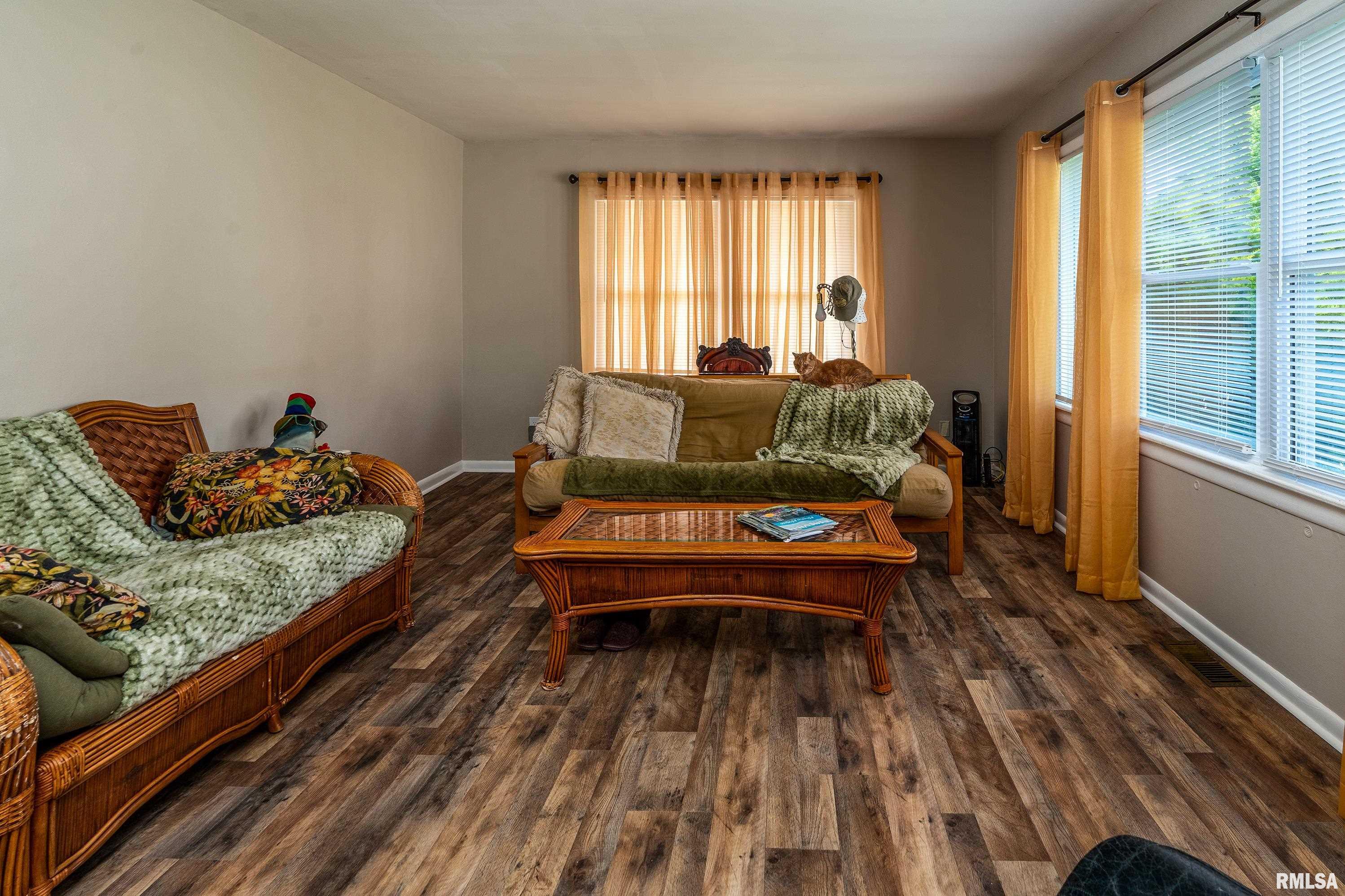615 W Grand Avenue, Carterville, Illinois image 3
