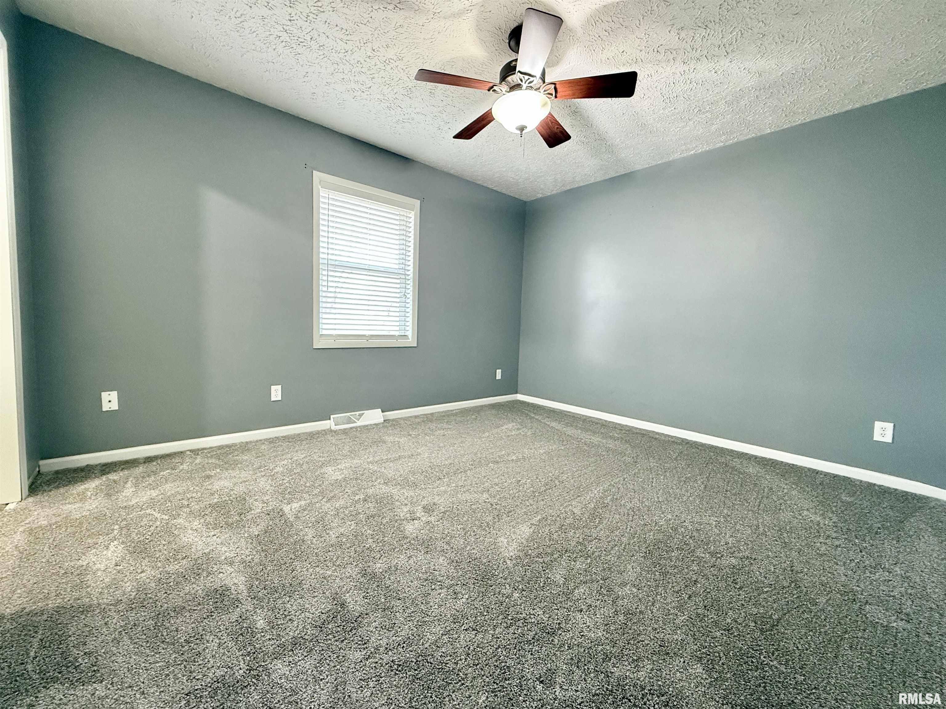 312 N Lily Lane, Auburn, Illinois image 11