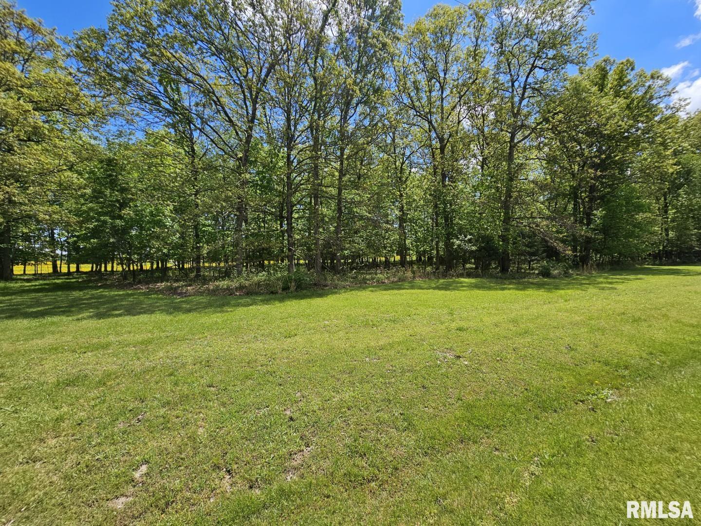 Lot 2 N Wildwood Place, Dix, Illinois image 9