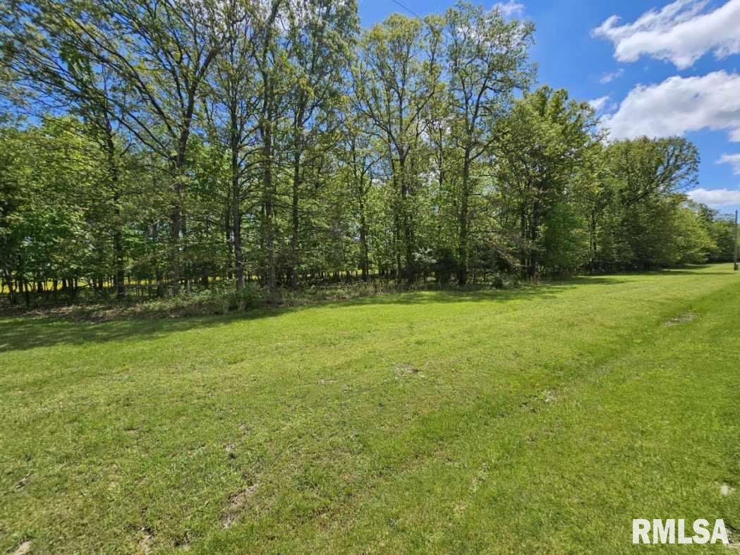 Lot 2 N Wildwood Place, Dix, Illinois image 7