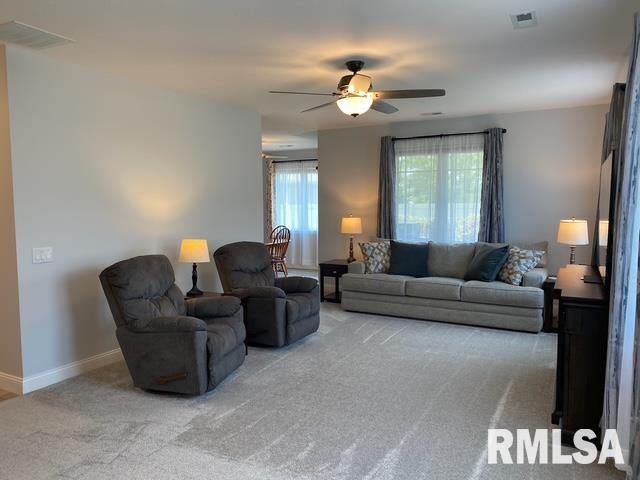 3430 Pinyon Drive, Springfield, Illinois image 6