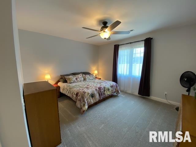3430 Pinyon Drive, Springfield, Illinois image 9
