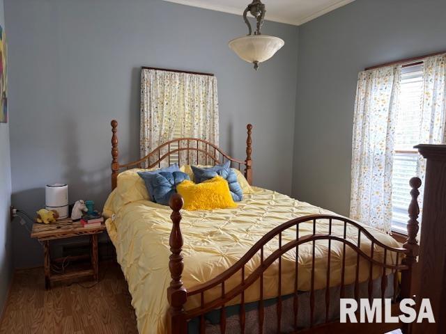 216 Iowa Street, Cambria, Illinois image 12