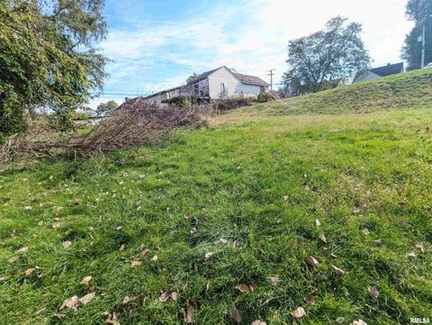 Vacant Land For Sale - 593 Roosevelt Street<br/> Creve Coeur, IL 61610