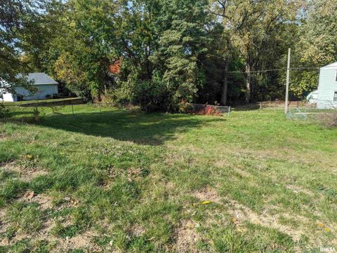 Vacant Land For Sale - 593 Roosevelt Street<br/> Creve Coeur, IL 61610