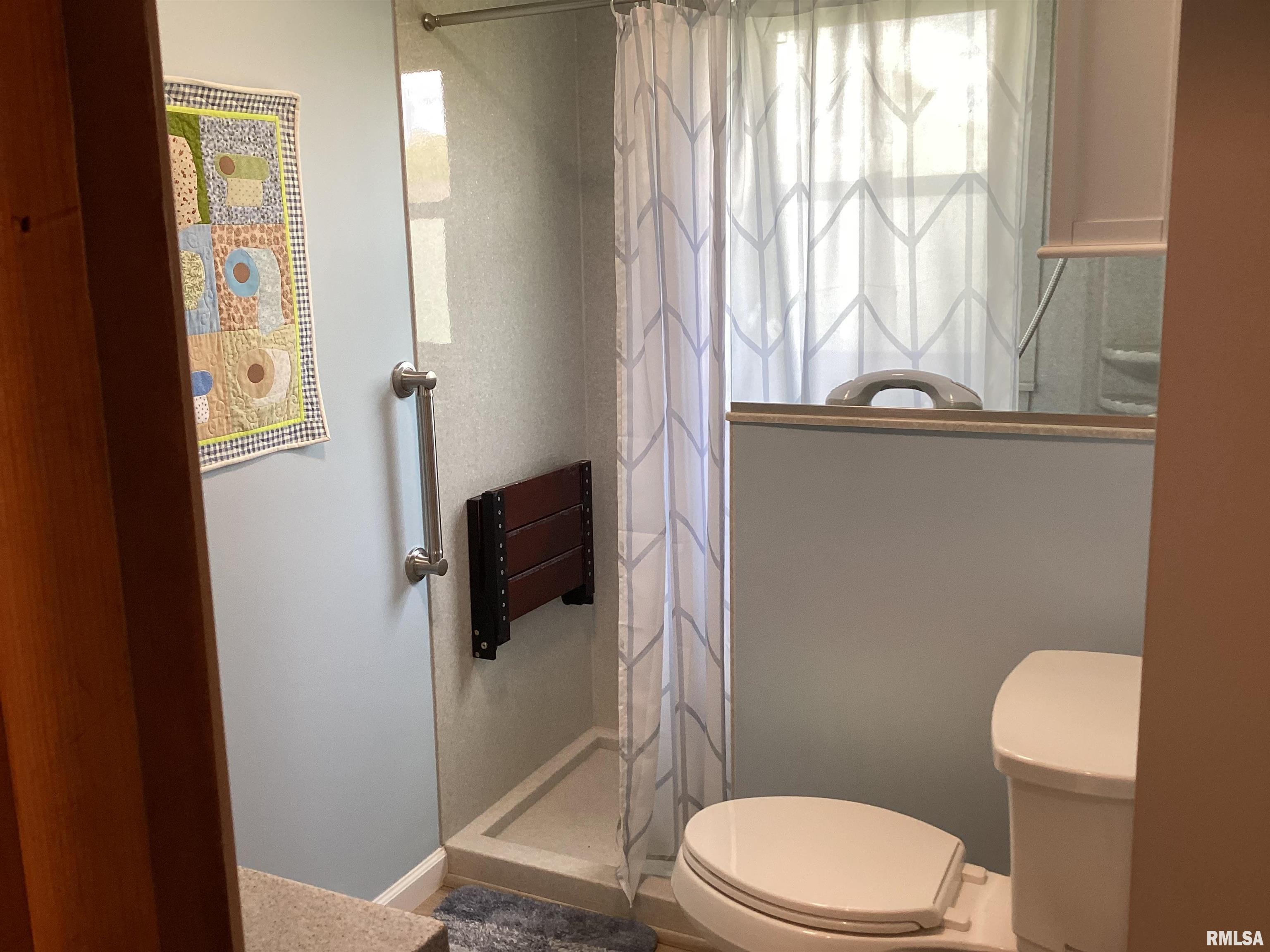 314 W Locust Street, Chatham, Illinois image 20