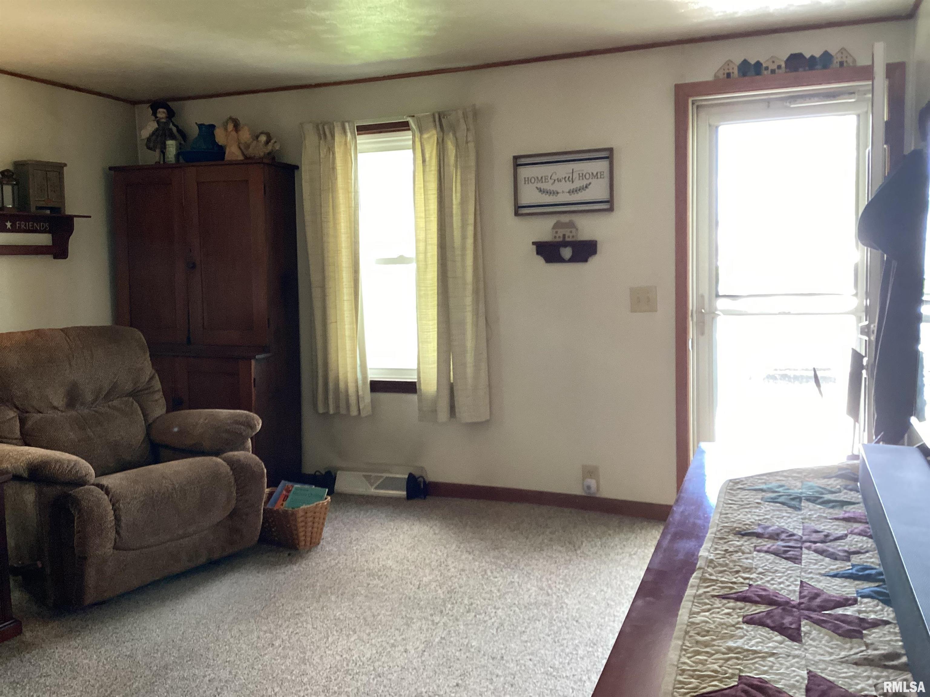 314 W Locust Street, Chatham, Illinois image 12