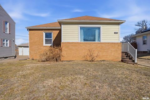 Homes For Sale - 1005 Irene Street<br/> Tazewell County, Pekin, IL 61554