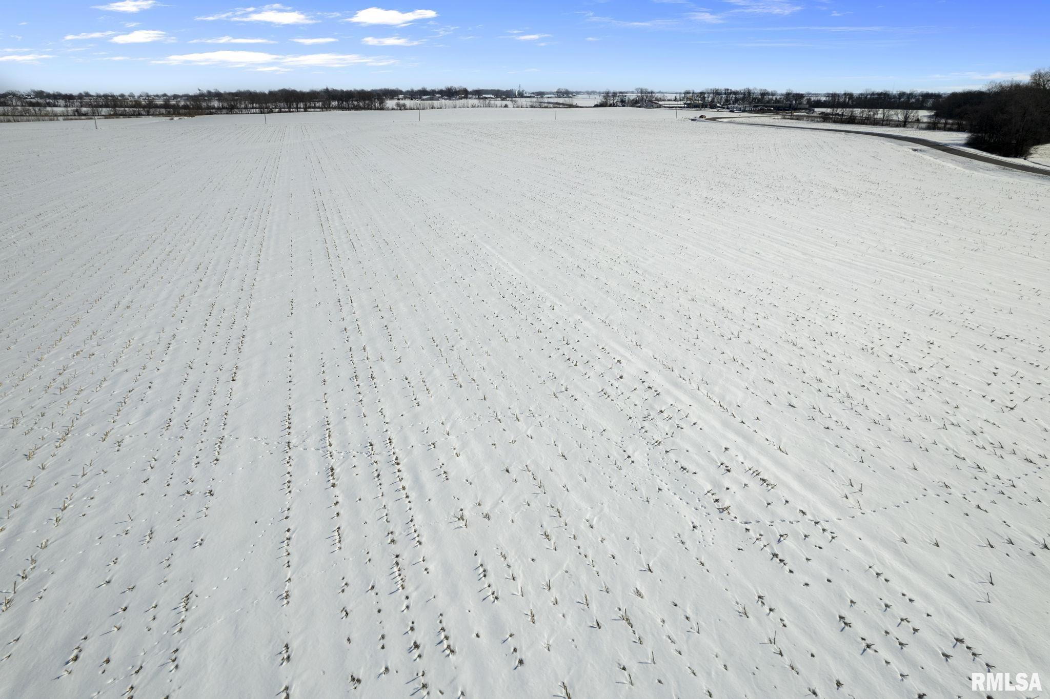 11401 State Route 161 County Road, New Baden, Illinois image 9