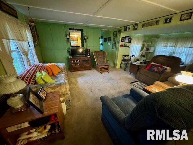1305 S Maple Street, Centralia, Illinois image 6