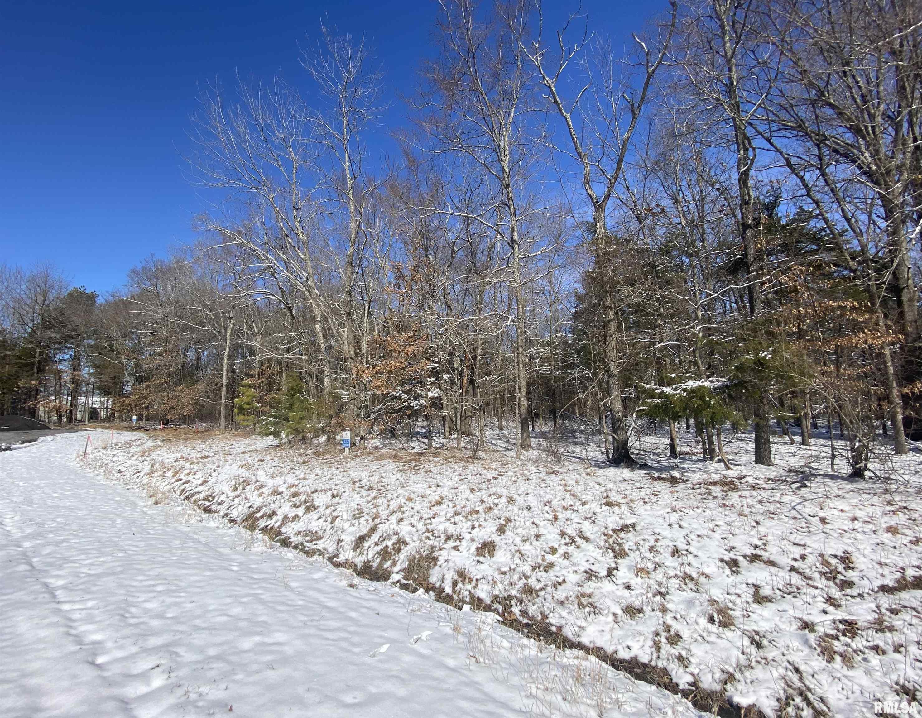 Buckeye Hill Court, Goreville, Illinois image 7