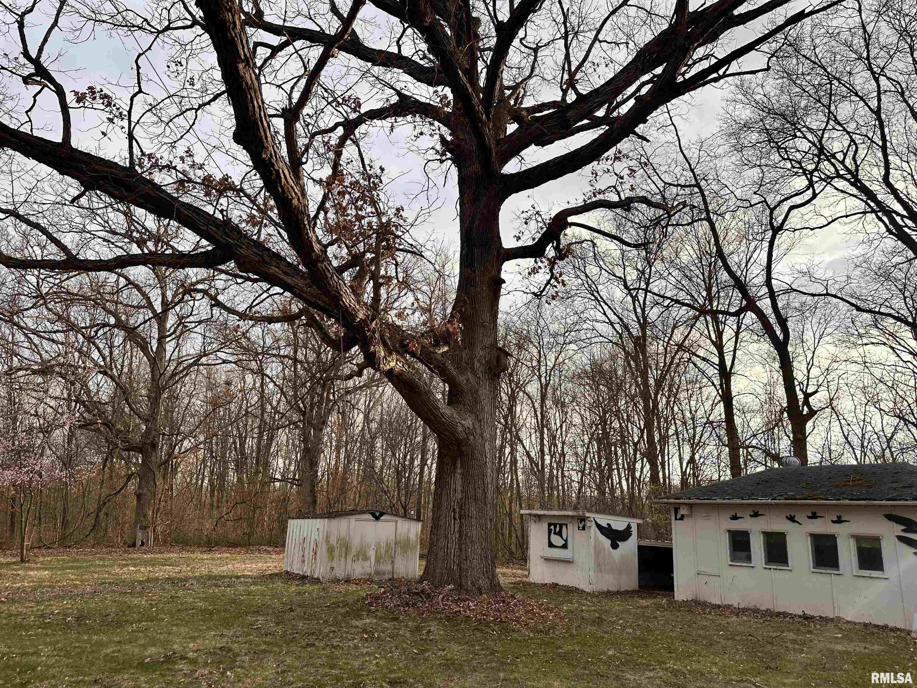 25501 N Wilson Road, Canton, Illinois image 20