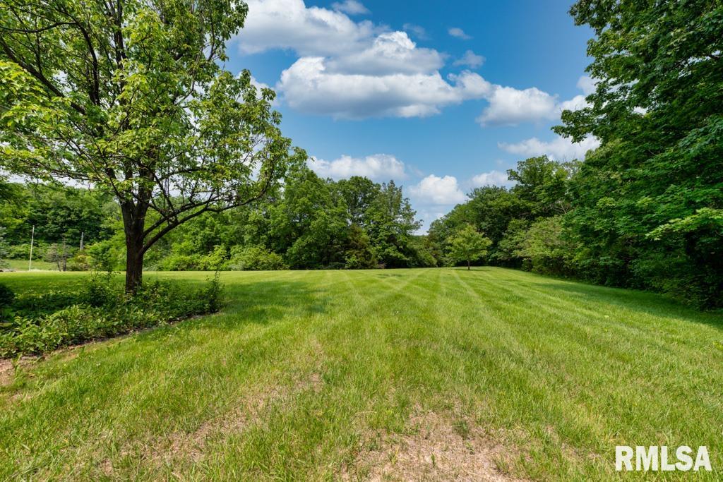 1112 W Cedar Hills Drive, Dunlap, Illinois image 11