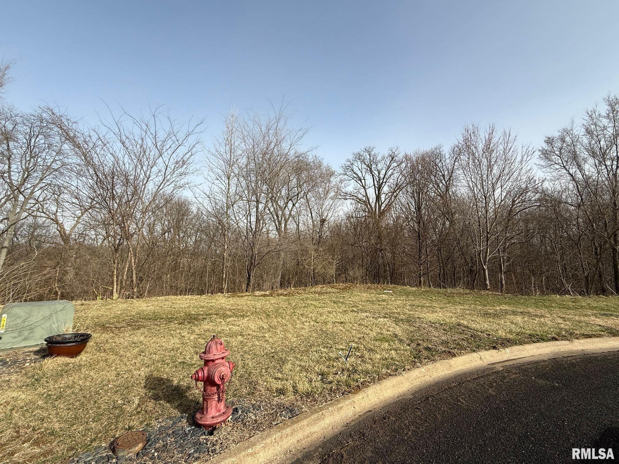 107 Scarlet Court, Washington, Illinois image 1