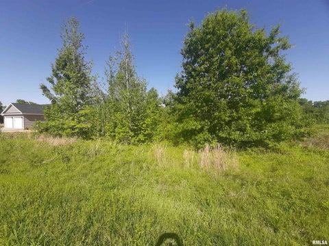 Vacant Land For Sale - 0000 Antioch Road East<br/> West Frankfort, IL 62896