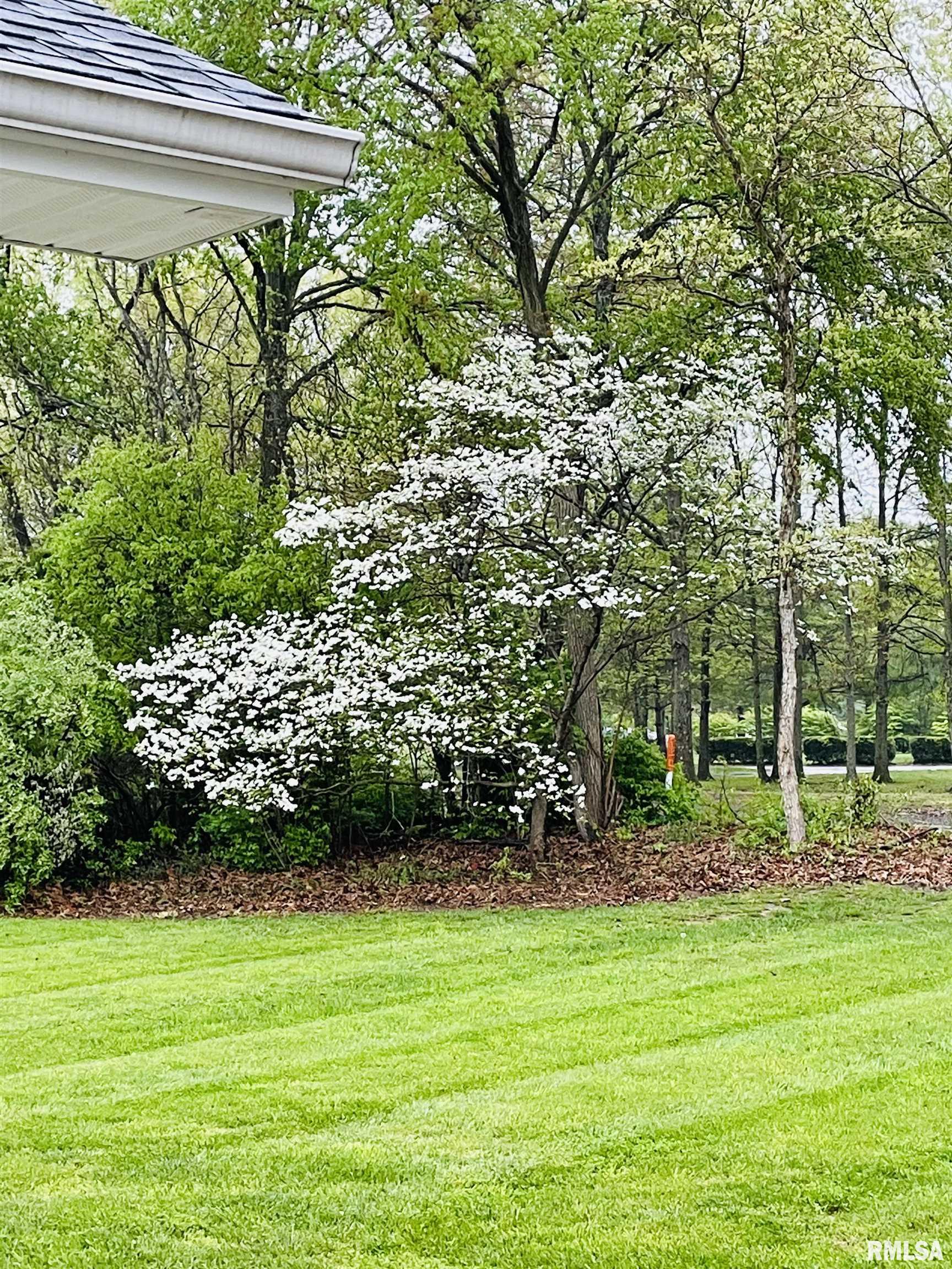3440 Dr Springs Road, Carterville, Illinois image 29