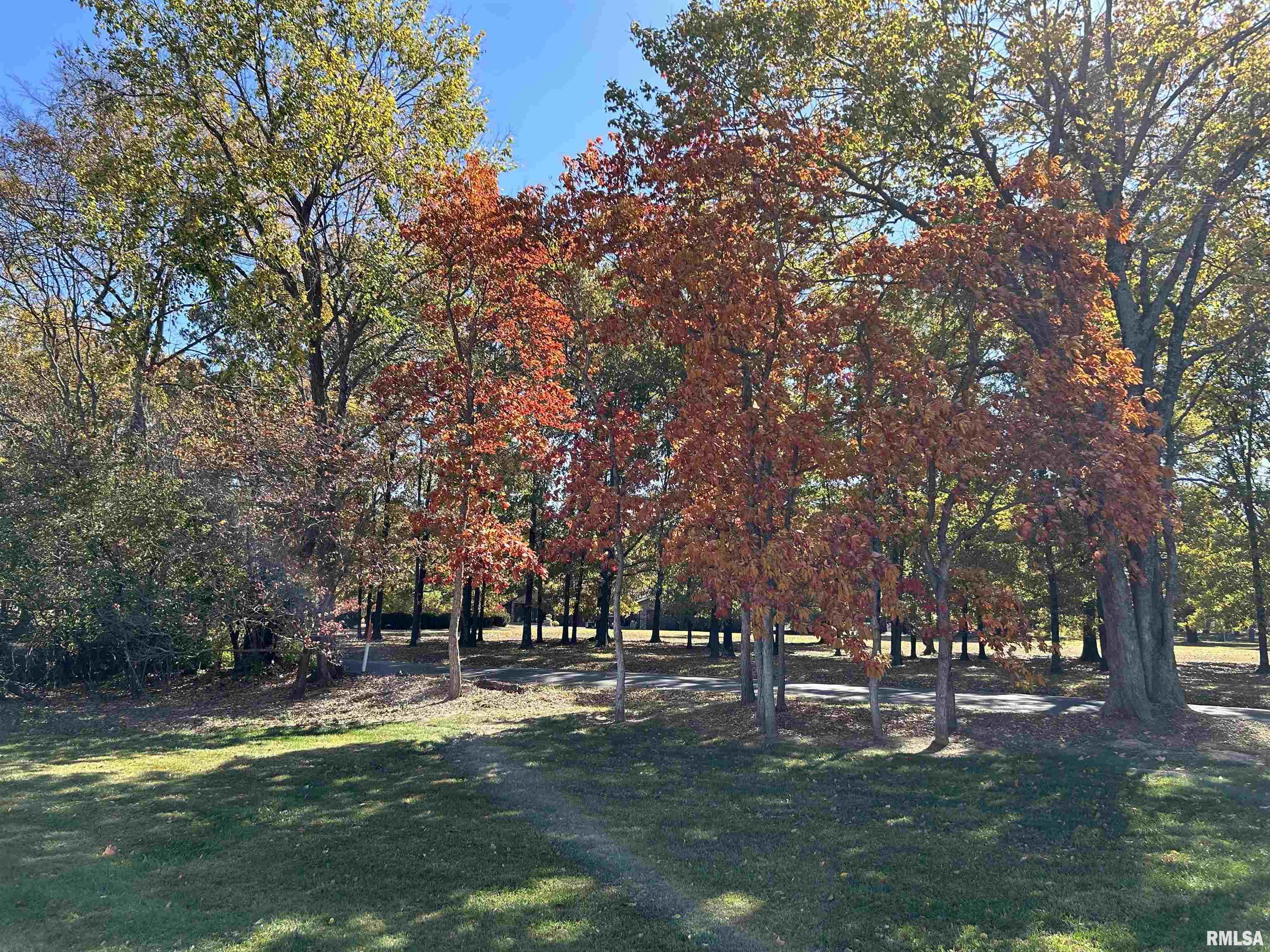 3440 Dr Springs Road, Carterville, Illinois image 27