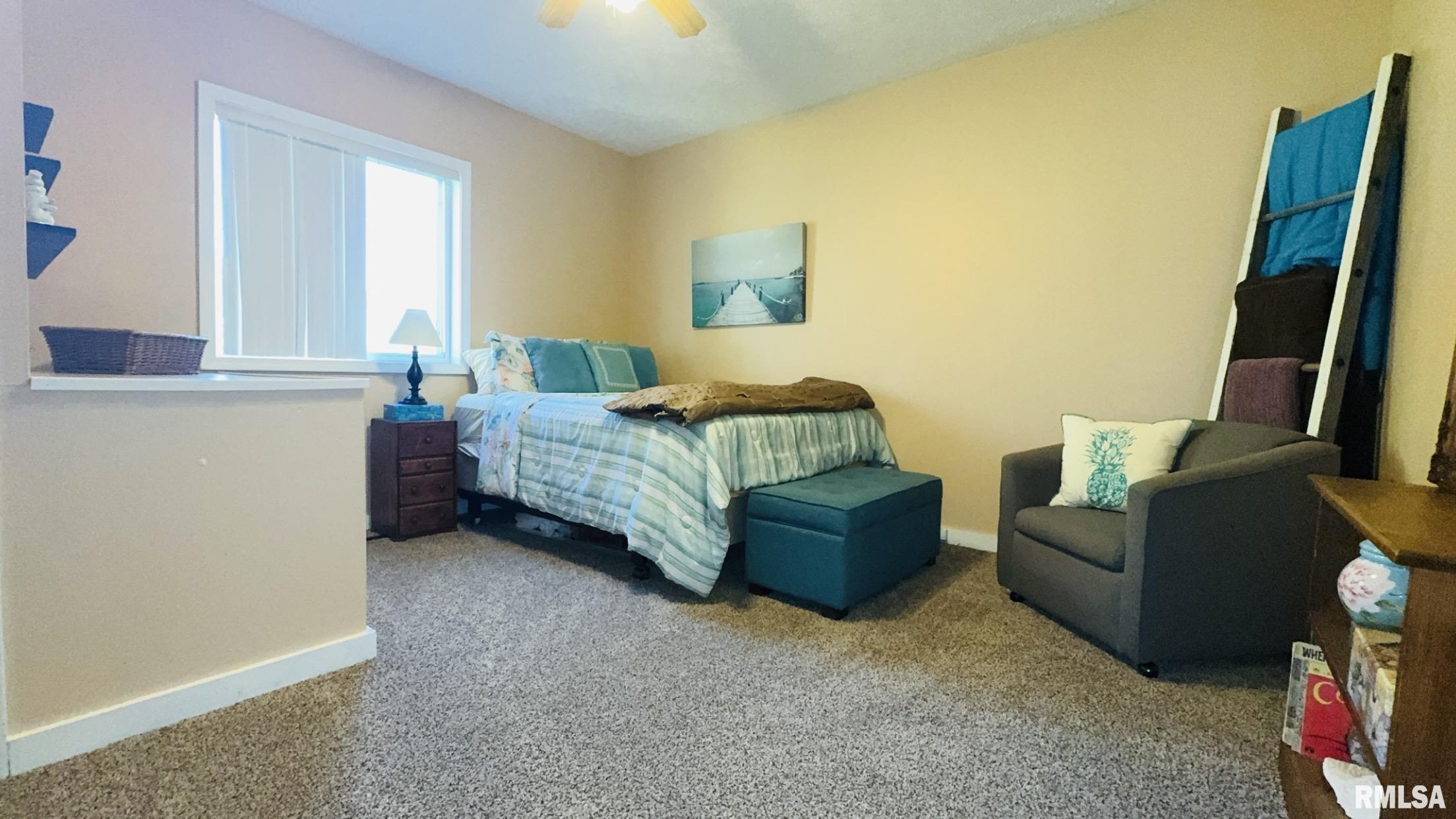 602 Illinois Avenue, Christopher, Illinois image 21