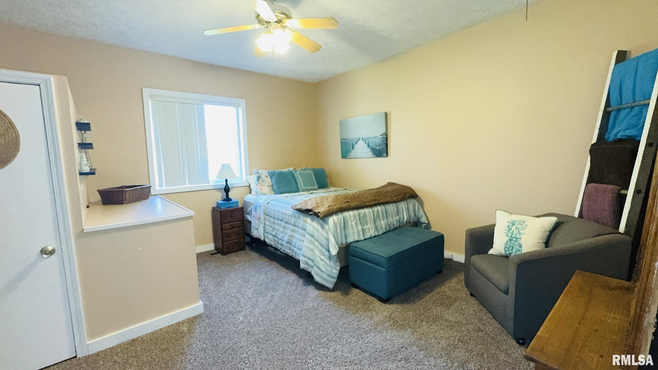 602 Illinois Avenue, Christopher, Illinois image 22