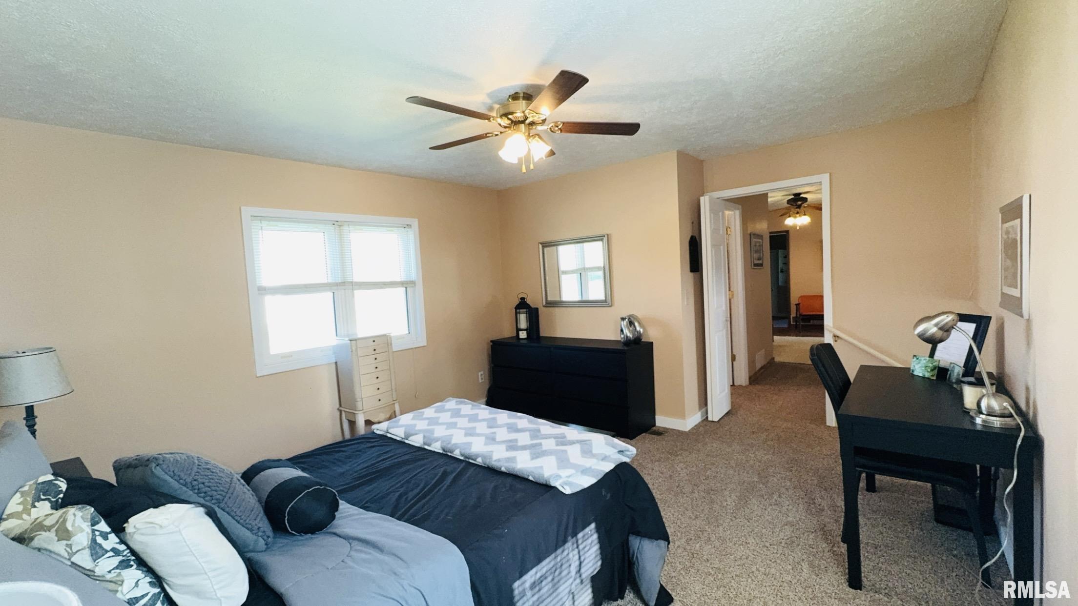 602 Illinois Avenue, Christopher, Illinois image 19