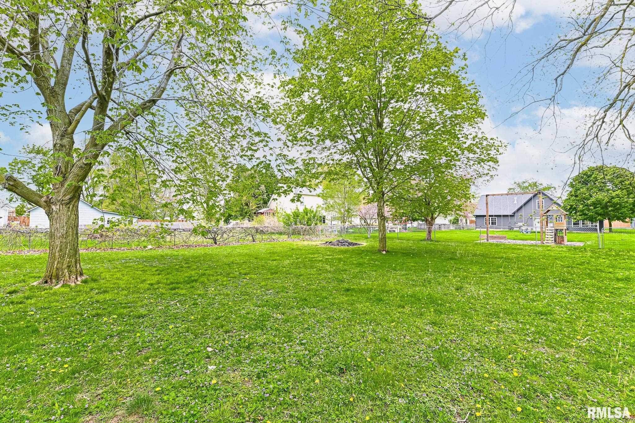 114 S Detweiler Street, Congerville, Illinois image 31