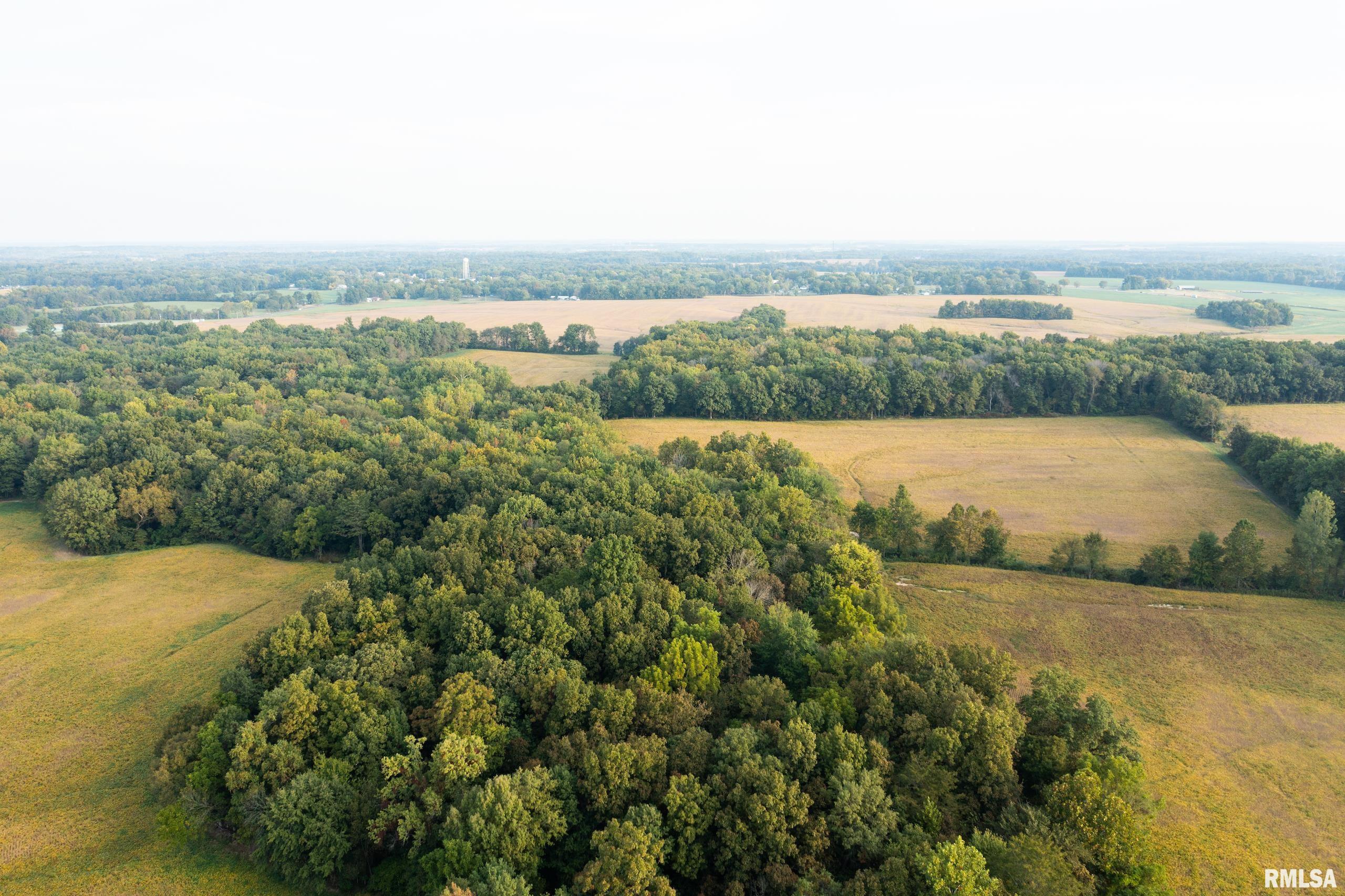 2317 Miller Road, Thompsonville, Illinois image 38