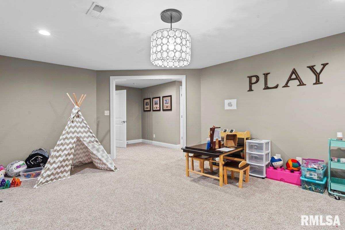 113 Ramblewood Drive, Chatham, Illinois image 35