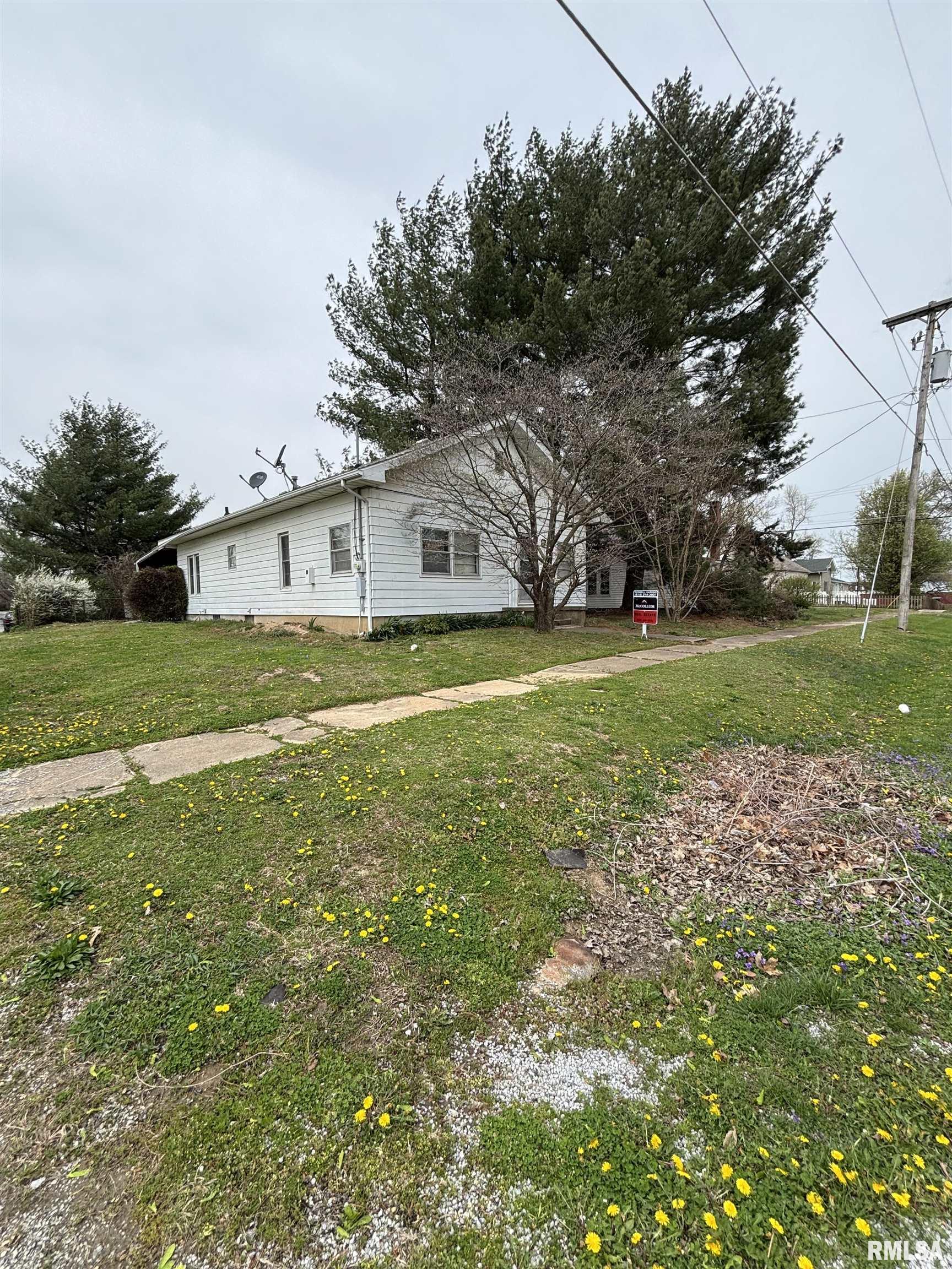 303 S Emma Street, Christopher, Illinois image 2