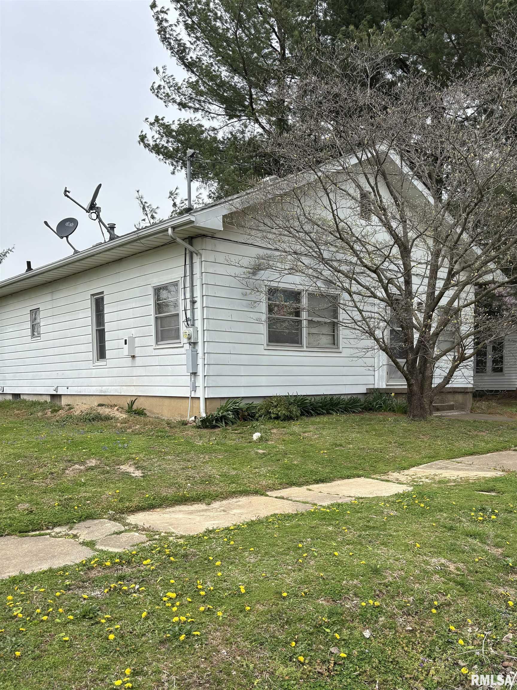 303 S Emma Street, Christopher, Illinois image 1