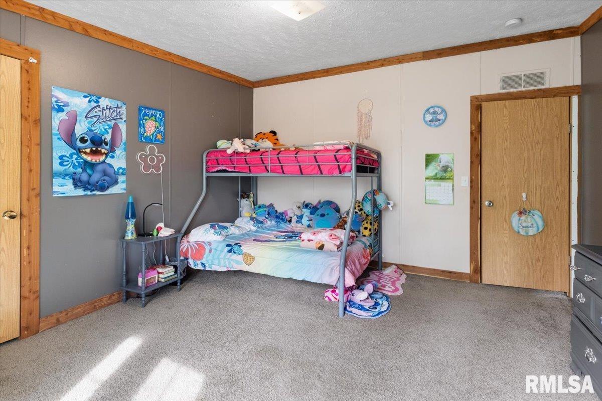 256 Boles Lane, Goreville, Illinois image 19