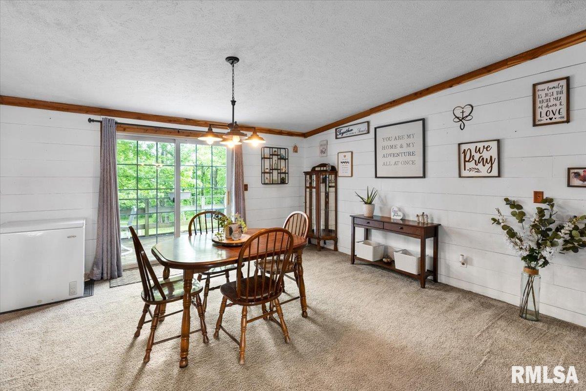 256 Boles Lane, Goreville, Illinois image 13