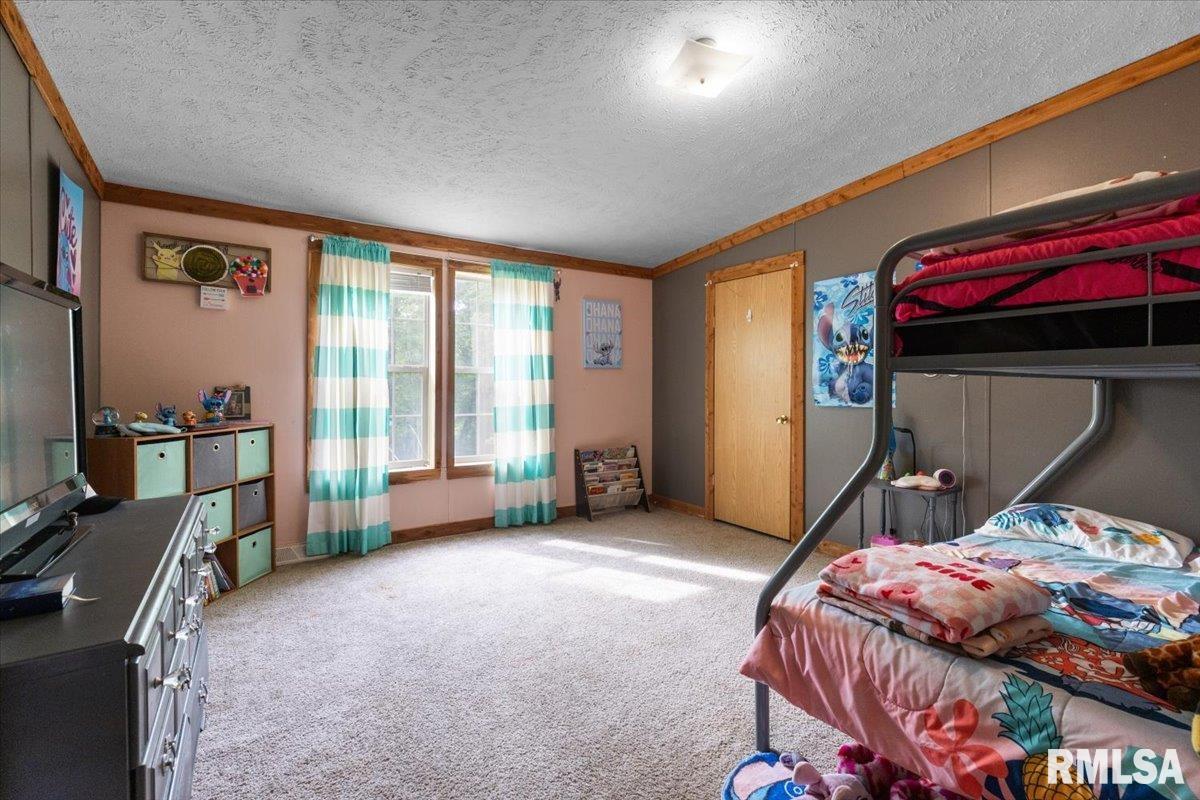 256 Boles Lane, Goreville, Illinois image 20