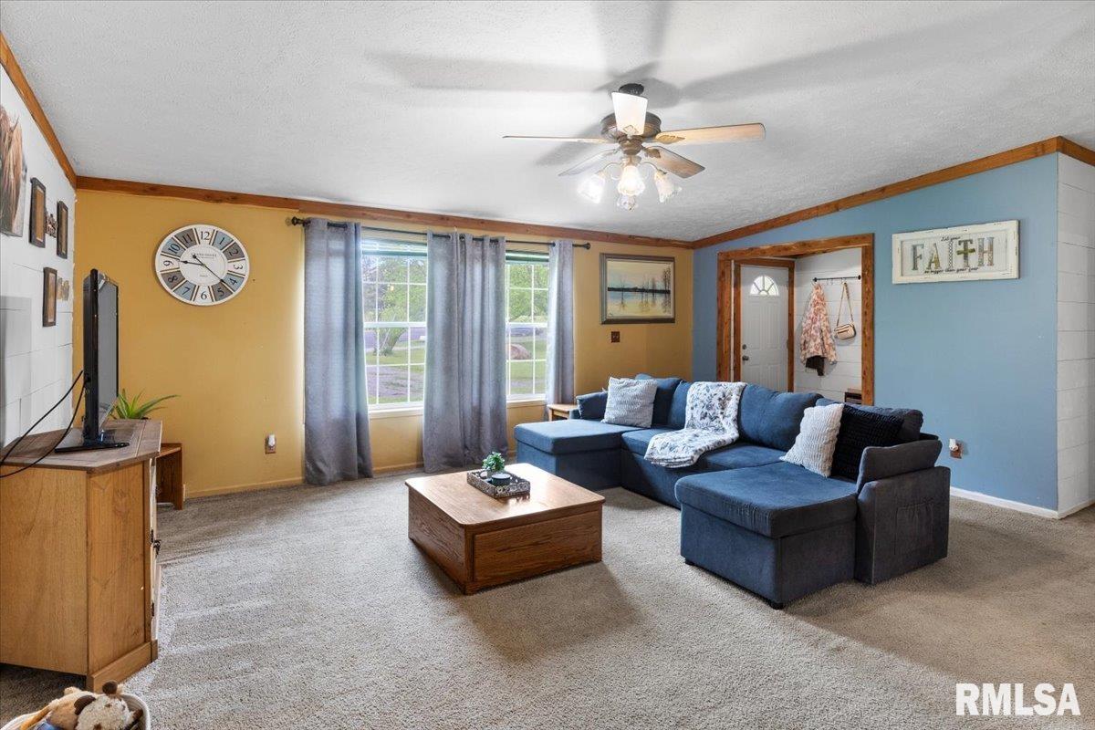 256 Boles Lane, Goreville, Illinois image 11