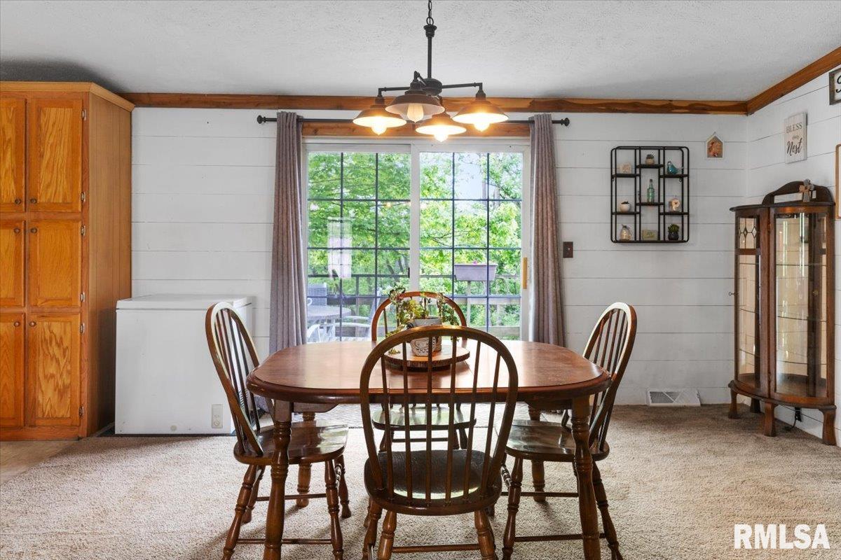 256 Boles Lane, Goreville, Illinois image 14
