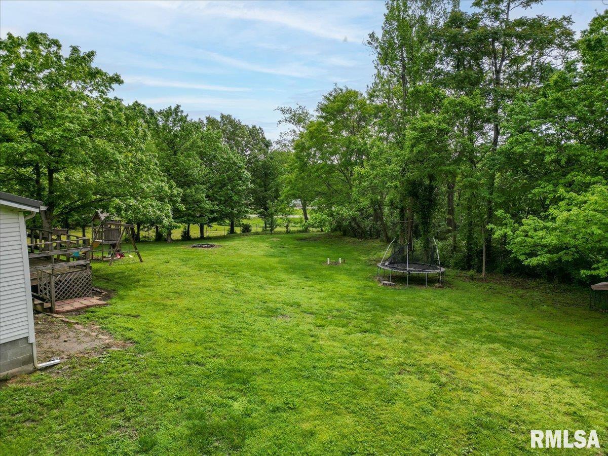 256 Boles Lane, Goreville, Illinois image 3