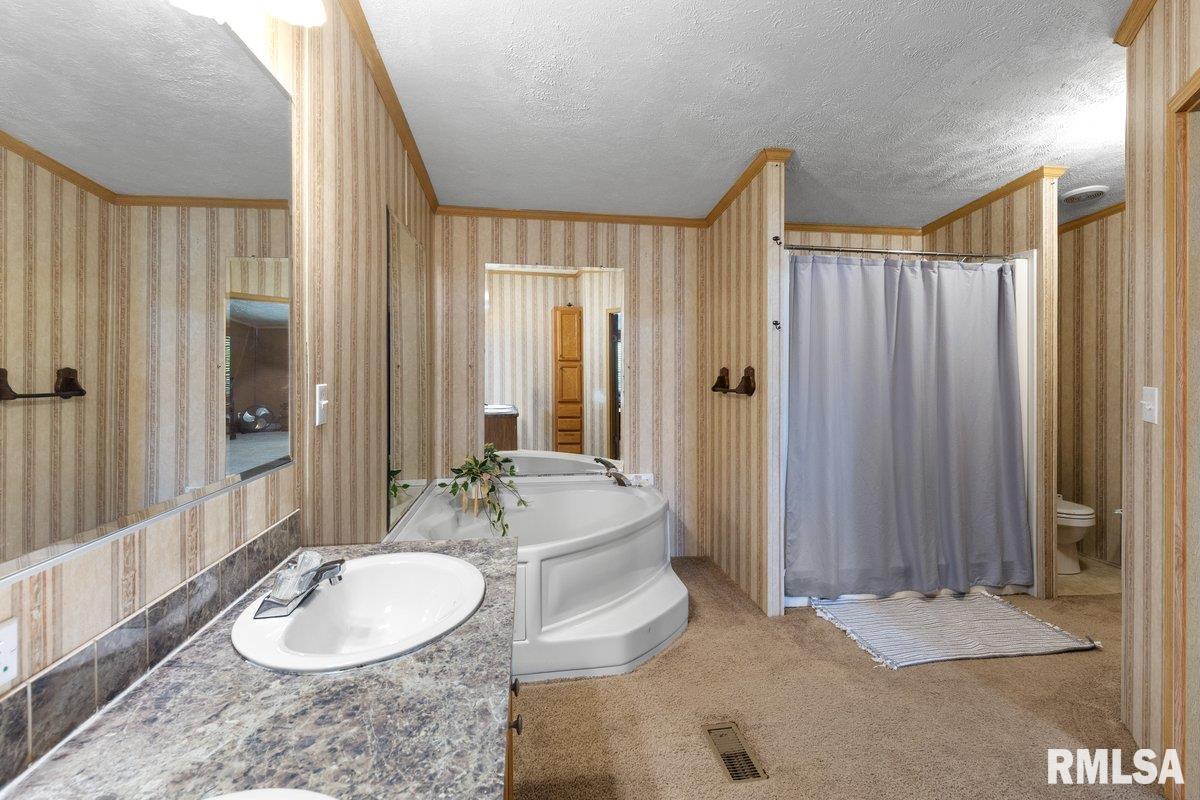 256 Boles Lane, Goreville, Illinois image 17